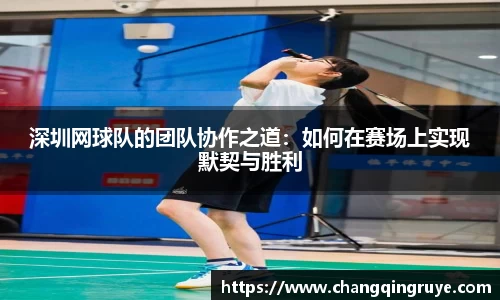 深圳网球队的团队协作之道：如何在赛场上实现默契与胜利